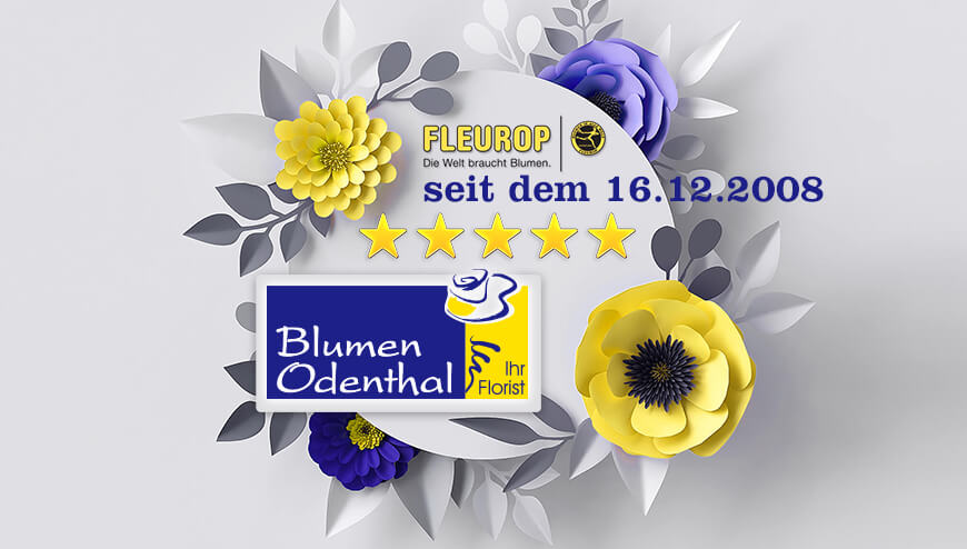 Blumen Odenthal - 5 Sterne Florist Troisdorf